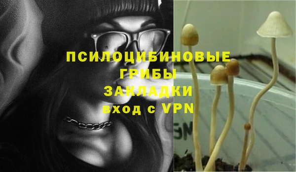 дживик Армянск