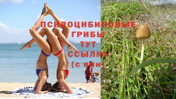 Альфа ПВП Балабаново