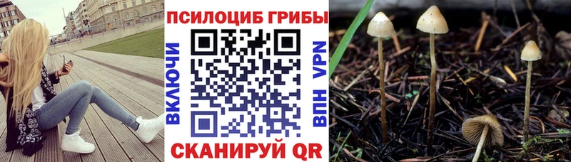 Псилоцибиновые грибы мухоморы Большой Камень